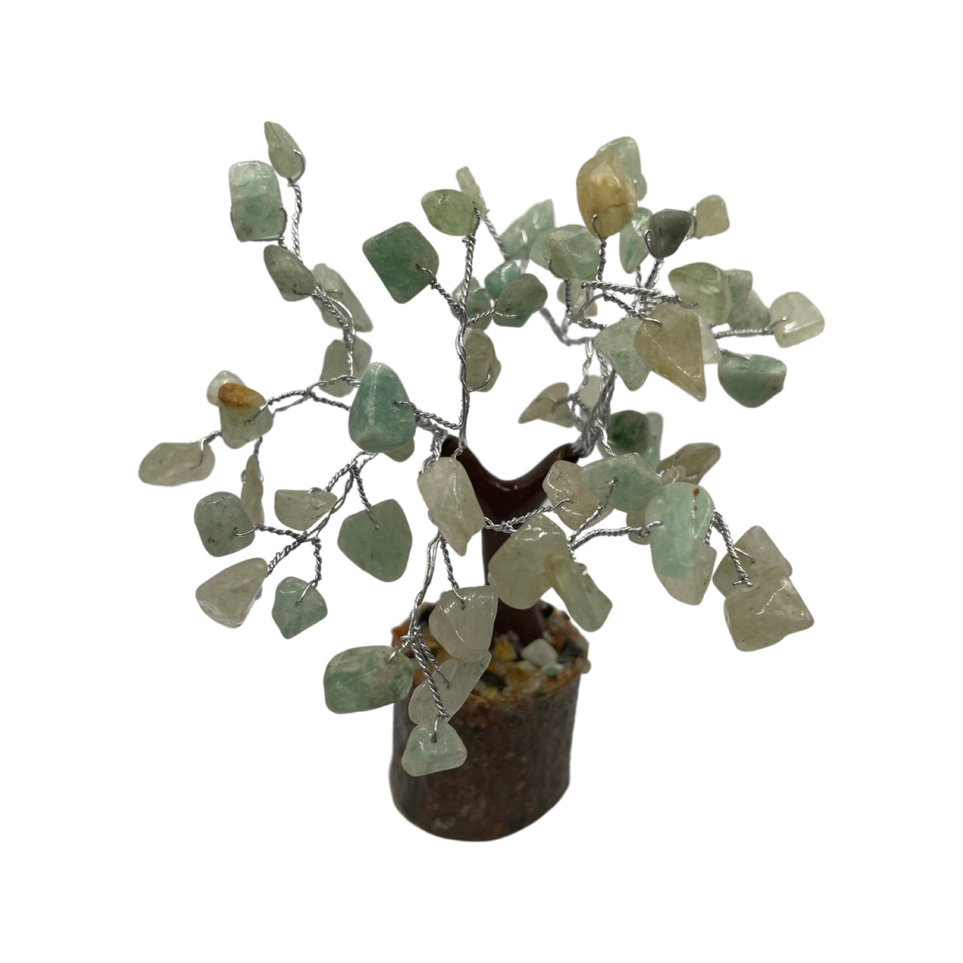 Jade Bonsai Tree 4"